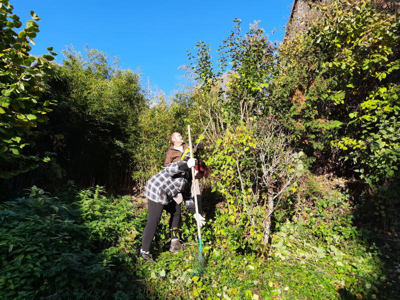 Dorfpflege 2025 (101)