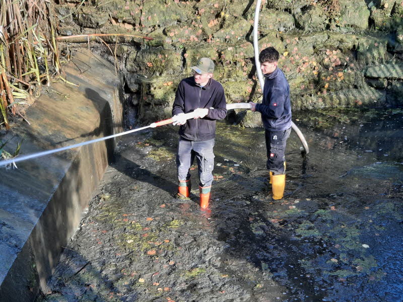 Dorfpflege 2025 (116)