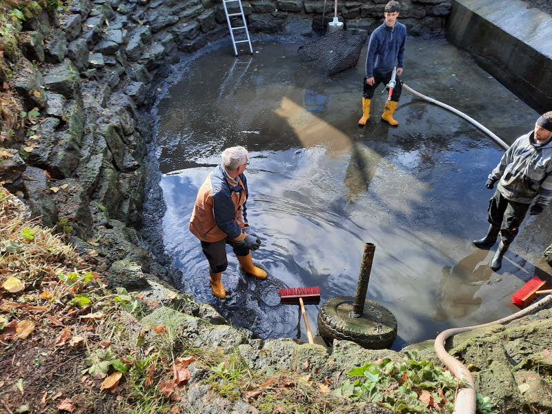 Dorfpflege 2025 (130)